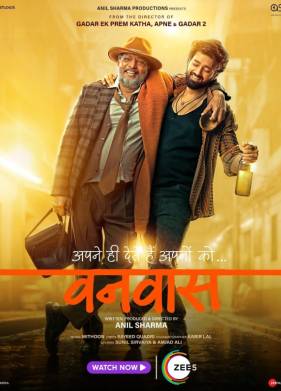 ����������� (2025)