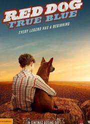 �����: ��� ������ (2016)