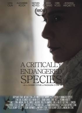 ���� ��� ������� ������������ (2017)