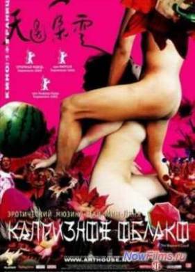 Капризное облако (2005)