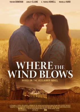 ���, ��� ���� ����� (2025)