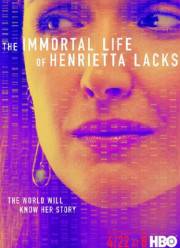 ����������� ����� ��������� ���� (2017)