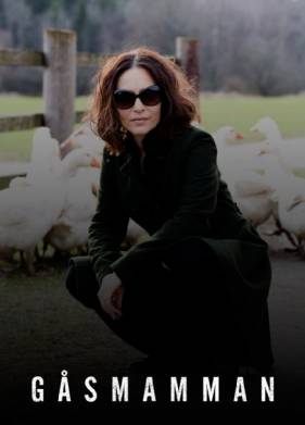 ������� ������ (2015)